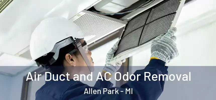  Air Duct and AC Odor Removal Allen Park - MI