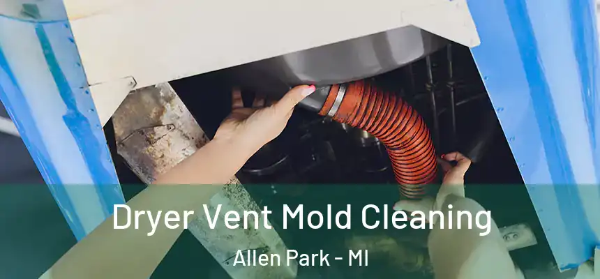  Dryer Vent Mold Cleaning Allen Park - MI