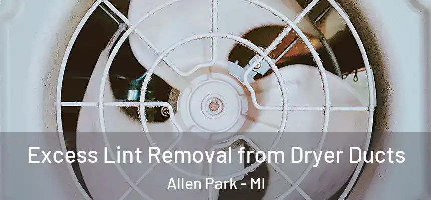  Excess Lint Removal from Dryer Ducts Allen Park - MI