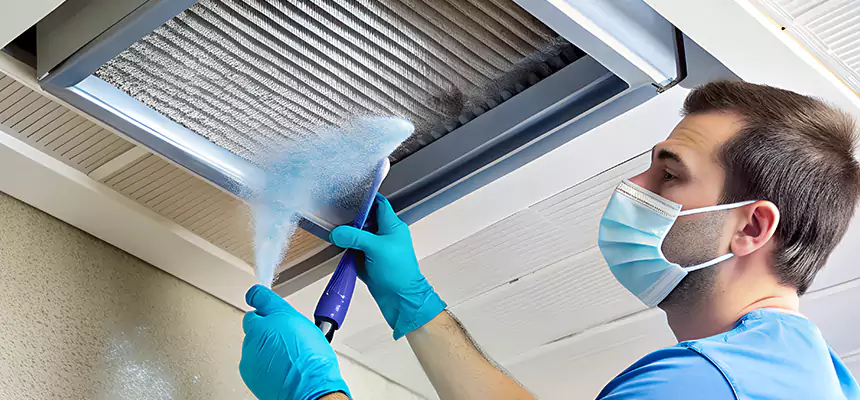 Proactive Dryer Vent & Auxiliary Duct Pollen Cleanup in Allen Park, MI