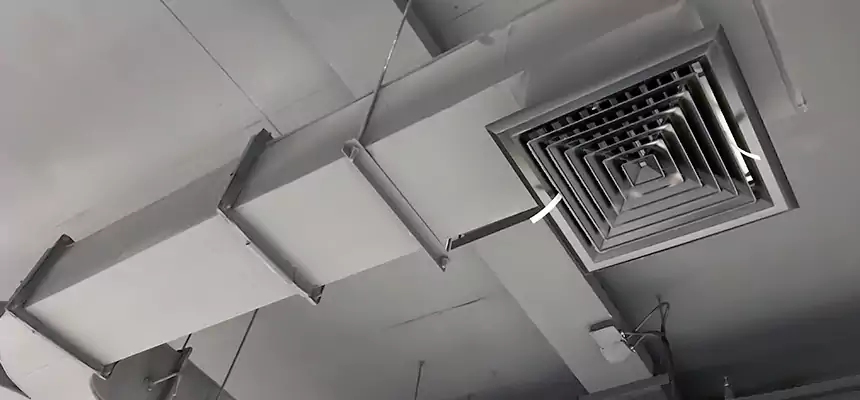 Restorative Allergy Relief Vent Cleaning – Coil, Blower & Housing Detail in Allen Park