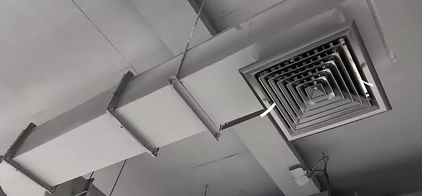 Our Pest Removal From Ducts Services in Allen Park, MI