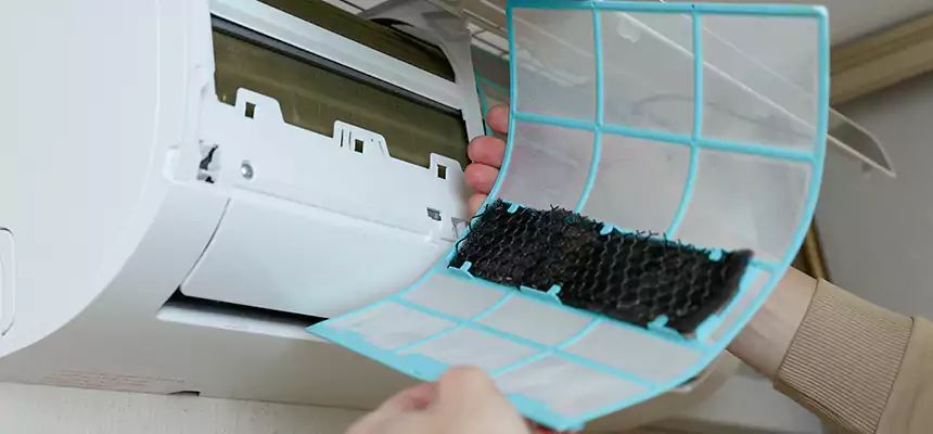 Gentle Ductwork Odor-Control Pet Dander Duct Cleaning in Allen Park, MI