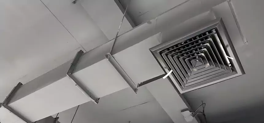 Our Rodent Droppings In Vents Services in Allen Park, MI