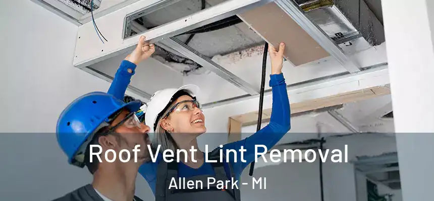  Roof Vent Lint Removal Allen Park - MI