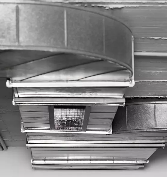 Professional Air Duct Pest Removal in Allen Park, MI