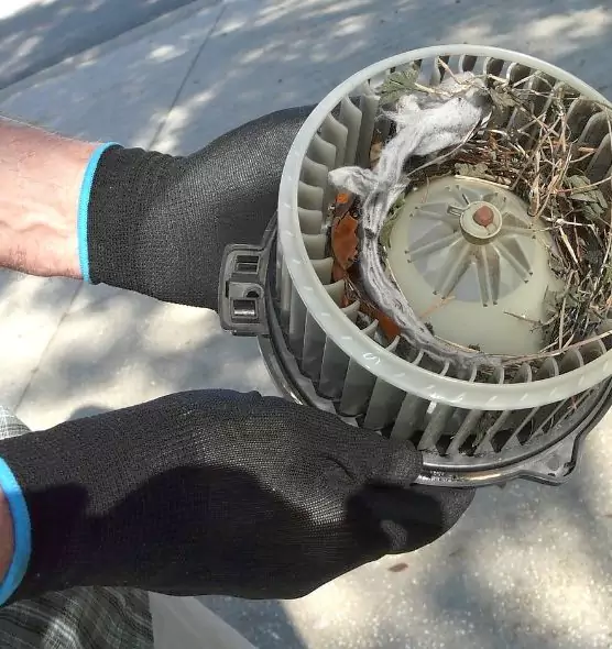 About Air Duct Rat Removal in Allen Park, MI