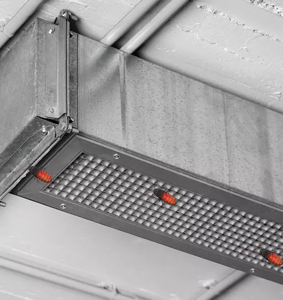 Affordable Insect Removal from Air Ducts in Allen Park, MI