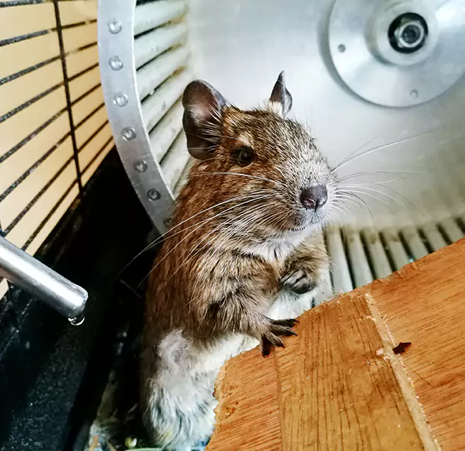 Why Homeowners & Businesses Trust Us Allen Park, MI?