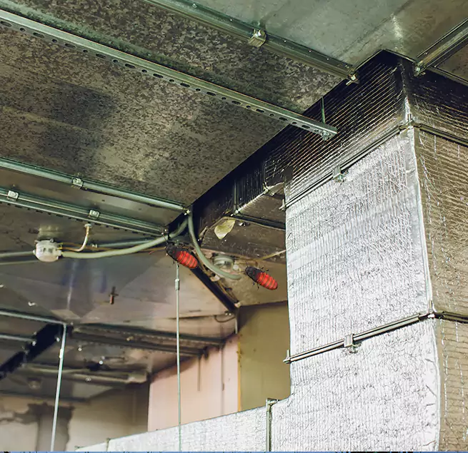 Why Homeowners & Businesses Trust Us Allen Park, MI?