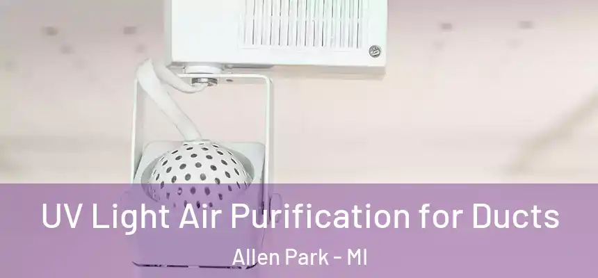  UV Light Air Purification for Ducts Allen Park - MI